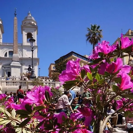 게스트하우스 My Piazza Di Spagna